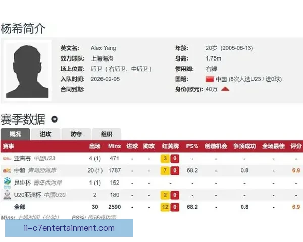 2026赛季中超转会焦点上海海港签下克罗地亚国脚冲击冠军格局